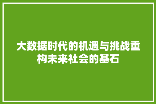 大数据时代的机遇与挑战重构未来社会的基石