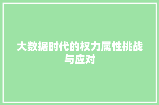 大数据时代的权力属性挑战与应对  第1张