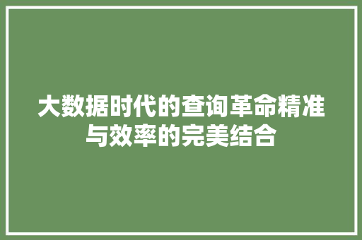 大数据时代的查询革命精准与效率的完美结合  第1张