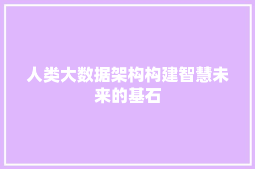人类大数据架构构建智慧未来的基石
