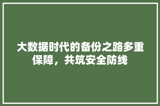 大数据时代的备份之路多重保障，共筑安全防线