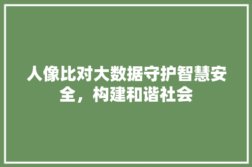 人像比对大数据守护智慧安全，构建和谐社会  第1张