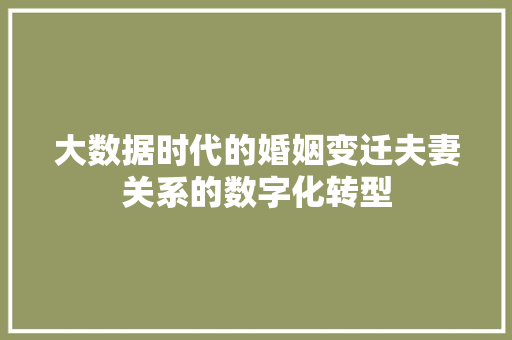 大数据时代的婚姻变迁夫妻关系的数字化转型