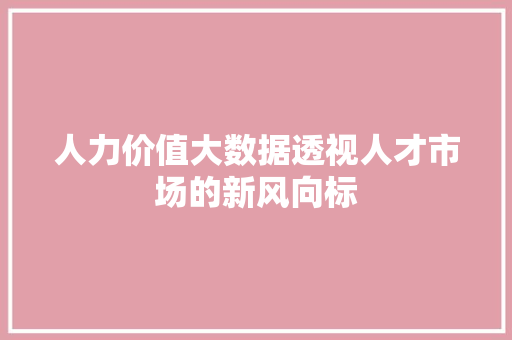 人力价值大数据透视人才市场的新风向标