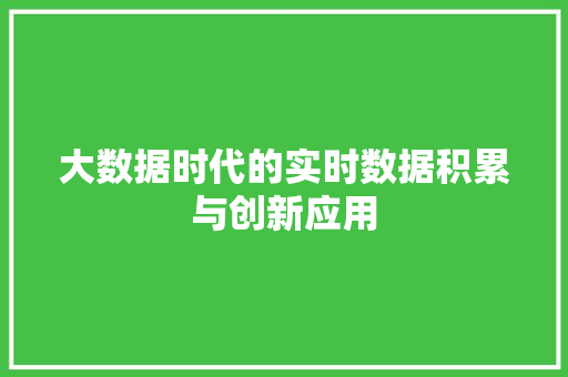 大数据时代的实时数据积累与创新应用