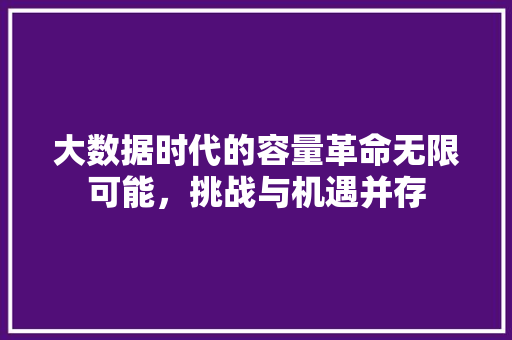 大数据时代的容量革命无限可能，挑战与机遇并存