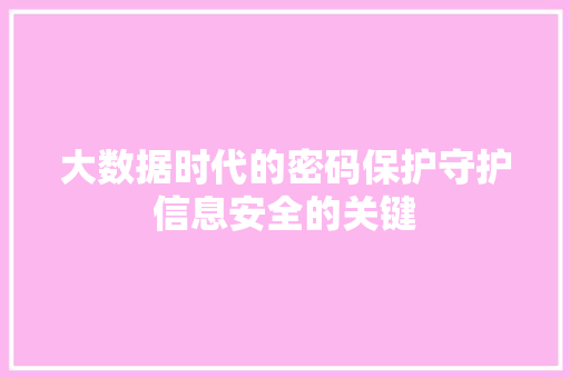 大数据时代的密码保护守护信息安全的关键  第1张