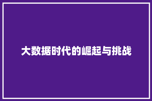 大数据时代的崛起与挑战  第1张