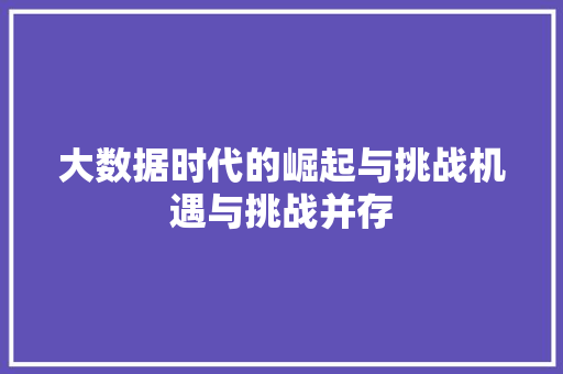 大数据时代的崛起与挑战机遇与挑战并存  第1张
