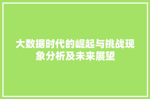 大数据时代的崛起与挑战现象分析及未来展望  第1张