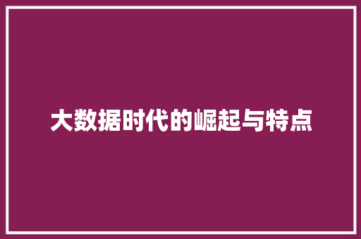 大数据时代的崛起与特点