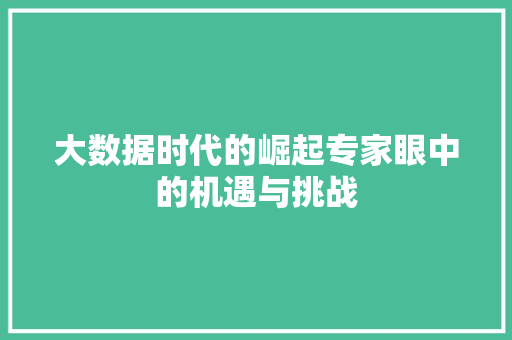 大数据时代的崛起专家眼中的机遇与挑战
