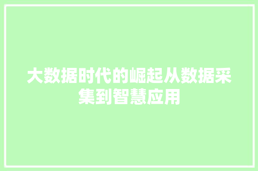 大数据时代的崛起从数据采集到智慧应用  第1张
