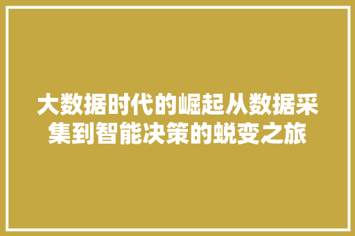 大数据时代的崛起从数据采集到智能决策的蜕变之旅  第1张