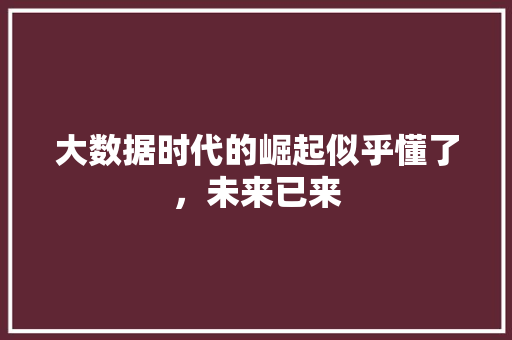 大数据时代的崛起似乎懂了，未来已来