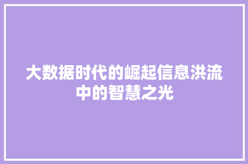 大数据时代的崛起信息洪流中的智慧之光  第1张