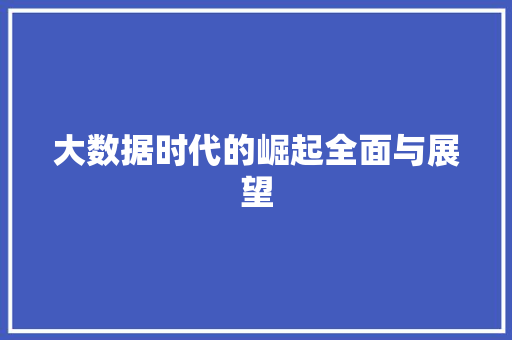 大数据时代的崛起全面与展望  第1张