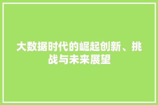 大数据时代的崛起创新、挑战与未来展望  第1张