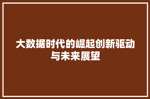 大数据时代的崛起创新驱动与未来展望