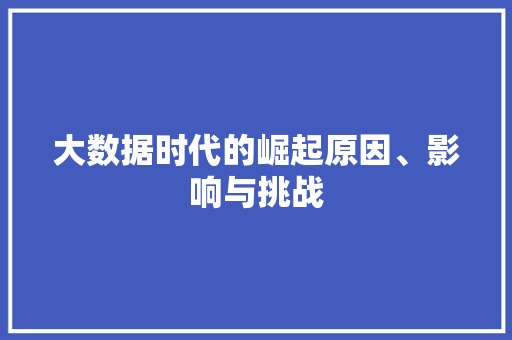 大数据时代的崛起原因、影响与挑战  第1张