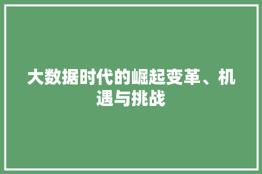 大数据时代的崛起变革、机遇与挑战