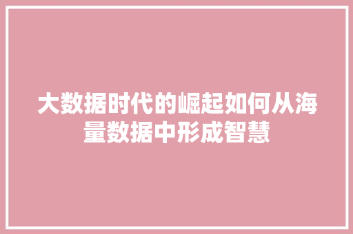 大数据时代的崛起如何从海量数据中形成智慧  第1张
