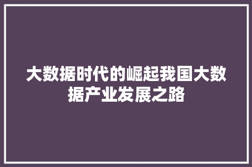 大数据时代的崛起我国大数据产业发展之路  第1张