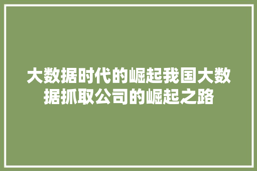 大数据时代的崛起我国大数据抓取公司的崛起之路  第1张