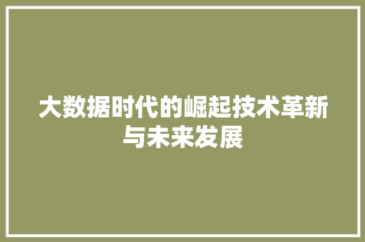 大数据时代的崛起技术革新与未来发展  第1张