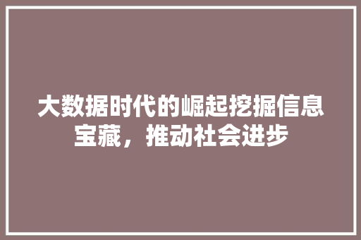 大数据时代的崛起挖掘信息宝藏，推动社会进步  第1张