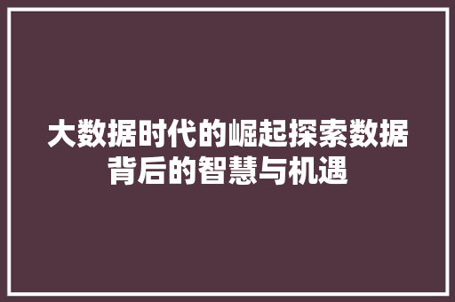 大数据时代的崛起探索数据背后的智慧与机遇  第1张
