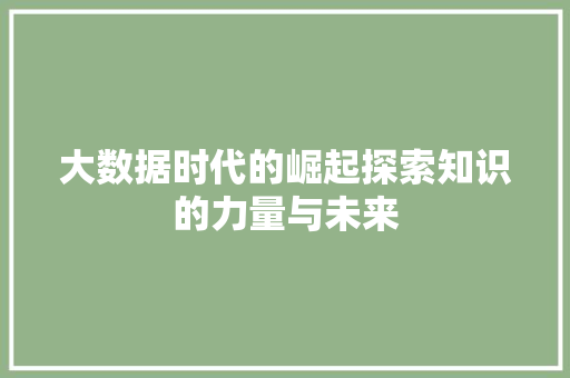 大数据时代的崛起探索知识的力量与未来  第1张