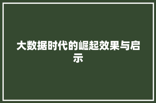 大数据时代的崛起效果与启示