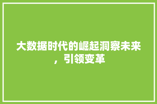 大数据时代的崛起洞察未来，引领变革  第1张