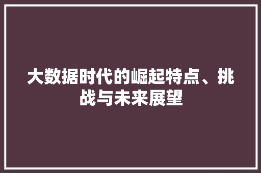 大数据时代的崛起特点、挑战与未来展望  第1张
