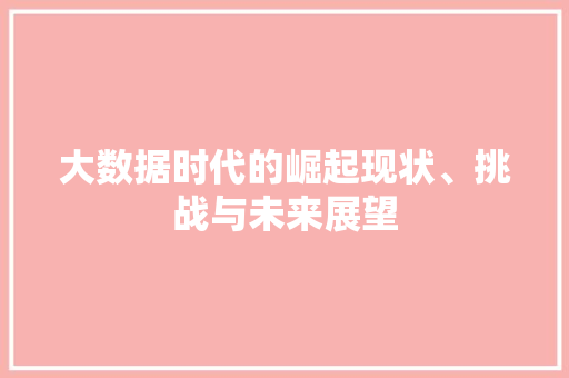 大数据时代的崛起现状、挑战与未来展望  第1张