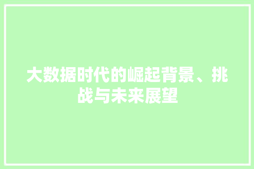 大数据时代的崛起背景、挑战与未来展望  第1张