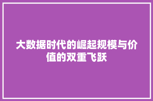 大数据时代的崛起规模与价值的双重飞跃  第1张