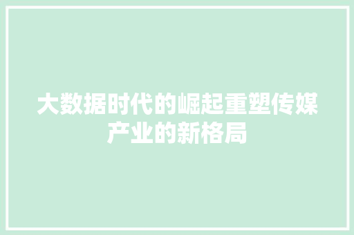 大数据时代的崛起重塑传媒产业的新格局  第1张