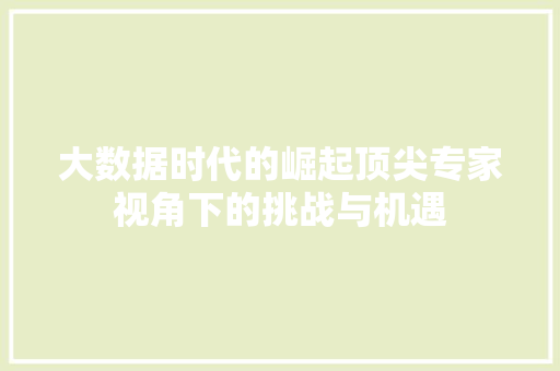 大数据时代的崛起顶尖专家视角下的挑战与机遇  第1张