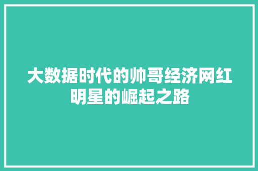 大数据时代的帅哥经济网红明星的崛起之路