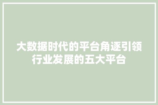 大数据时代的平台角逐引领行业发展的五大平台