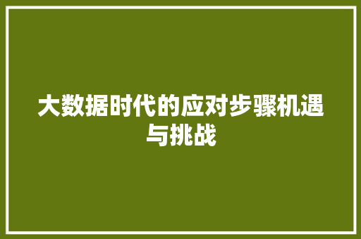 大数据时代的应对步骤机遇与挑战