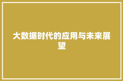 大数据时代的应用与未来展望  第1张