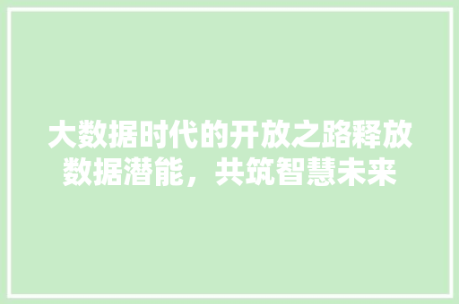 大数据时代的开放之路释放数据潜能，共筑智慧未来