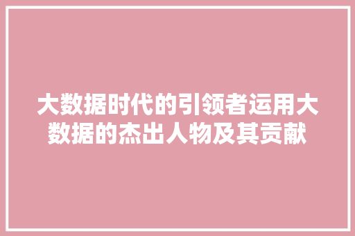 大数据时代的引领者运用大数据的杰出人物及其贡献