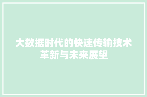 大数据时代的快速传输技术革新与未来展望