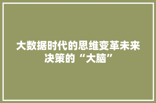 大数据时代的思维变革未来决策的“大脑”  第1张