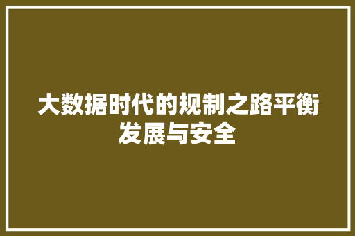 大数据时代的规制之路平衡发展与安全  第1张