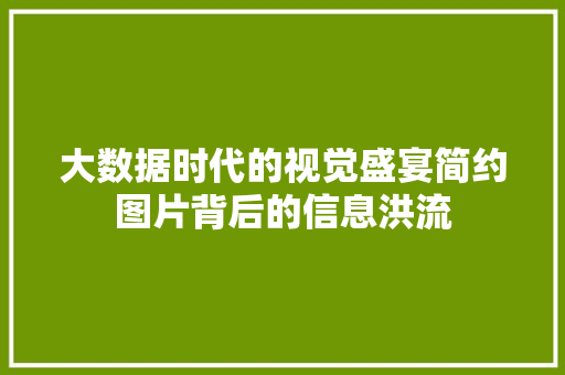 大数据时代的视觉盛宴简约图片背后的信息洪流  第1张